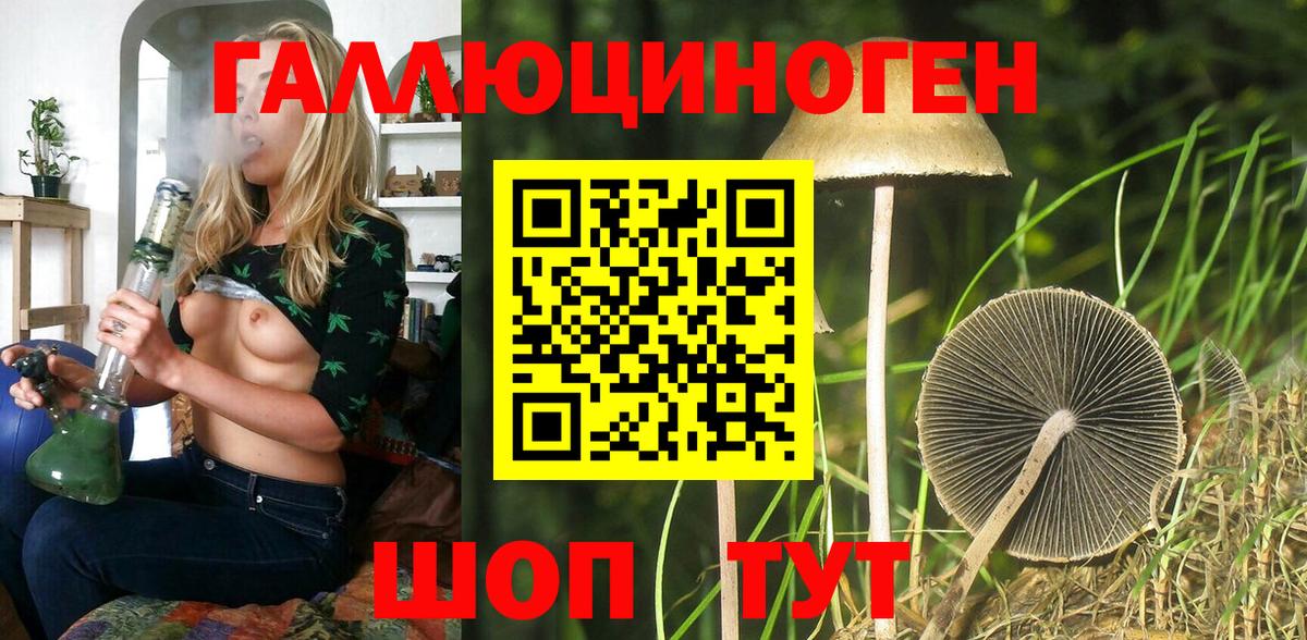 Псилоцибиновые грибы Psilocybine cubensis Кунгур